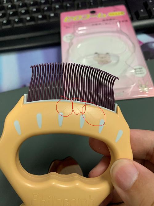 斐洛贝壳梳不知真假