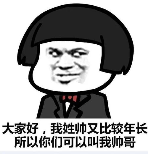 搞笑表情包大家好我姓帅