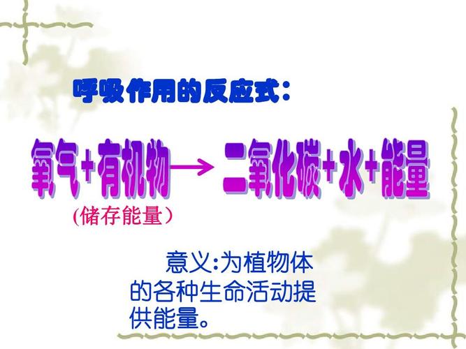 5.2《绿色植物的呼吸作用》ppt