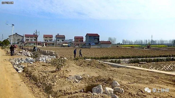 走进柴湖镇鱼池村,到处都是一派繁忙的景象,道路两边,10多名工人