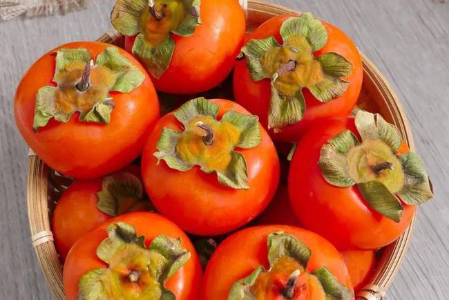 老话讲一个柿子十副药是什么意思吃柿子到底好不好