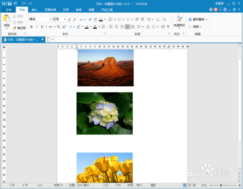 如何使用word将图片批量设置为统一尺寸?