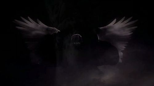 天使恶魔石膏像烟雾翅膀_1920x1080_高清视频素材下载(编号:1321305)