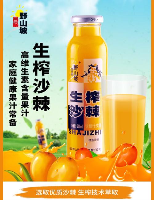 吕梁野山坡沙棘汁果汁饮料300ml*12瓶整箱