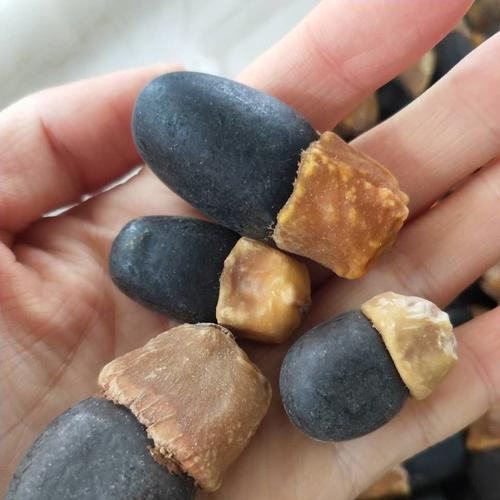 中药材缅伽缅茄菩提子阴阳果马牙果