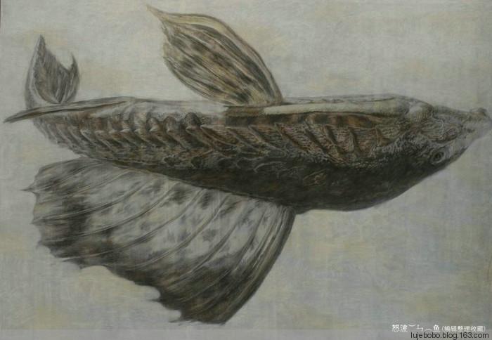 【转载】央美城院2012届基础部精微素描