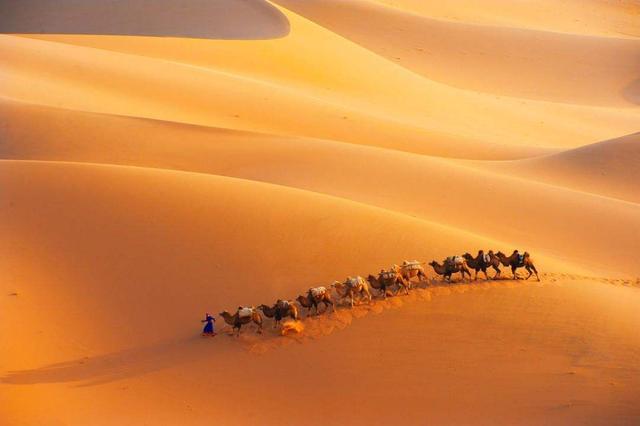 沙漠地带的塔里木盆地,竟有大量水资源?