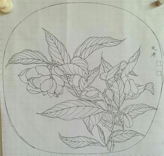 临宋《夜合花图》步骤,绢本