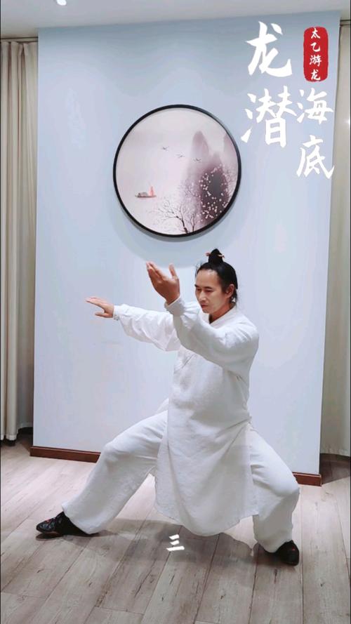 太乙游龙拳第十九式"龙潜海底"
