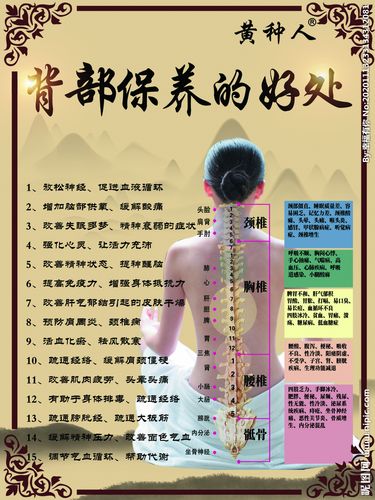 背部保养的好处图片