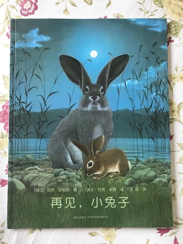 《再见,小兔子》绘本全现