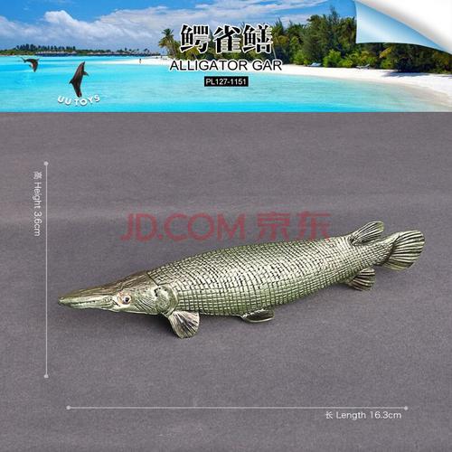 海洋生物玩具观赏热带锦鲤金鱼小丑鱼食人鱼 鳄雀鳝