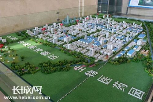 沧州:全力打造现代临港产业集群