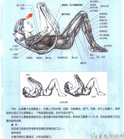 适合女性的仰卧起坐图解14种女性仰卧起坐