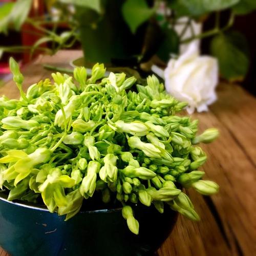 吃花喝汤,清肝明目夜兰花