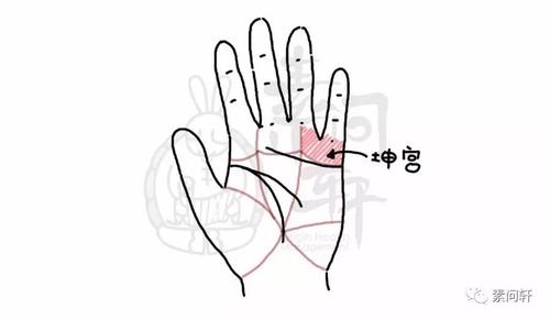泌尿,生殖系统功能状况——看坤宫