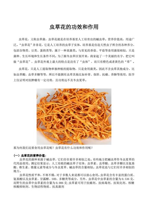虫草花的功效与作用.pdf 6页