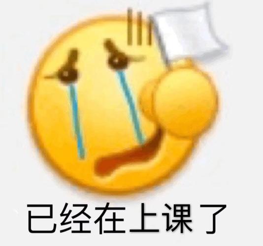 已经在上课了黄豆头表情包