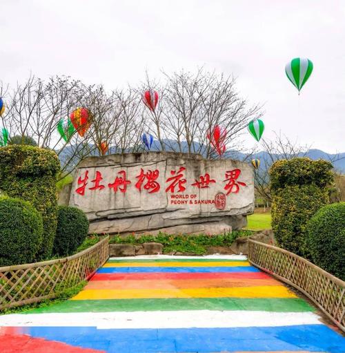 樱花世界热情如初明月山头阳光初暖石磨豆花白嫩独香垫江牡丹含苞待放