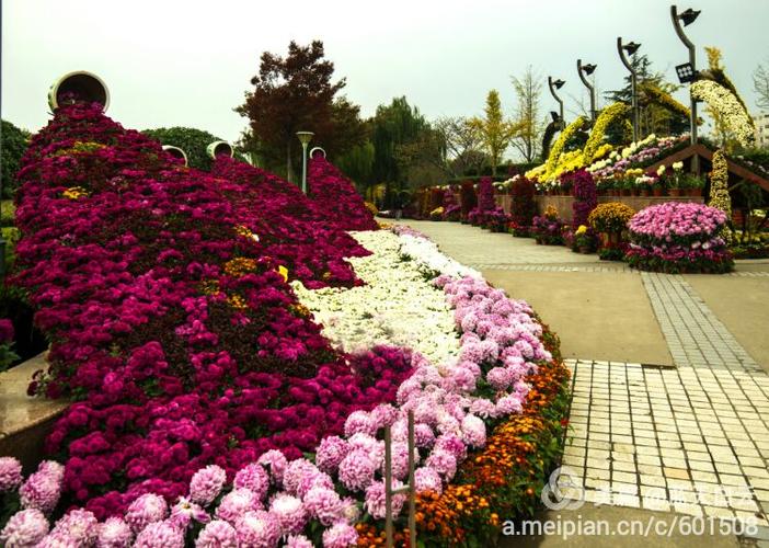 上海大学第十四届菊文化节