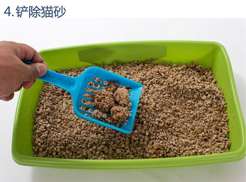 传奇高效结团猫沙 吸水除臭 松木猫砂 宠物猫咪用品10