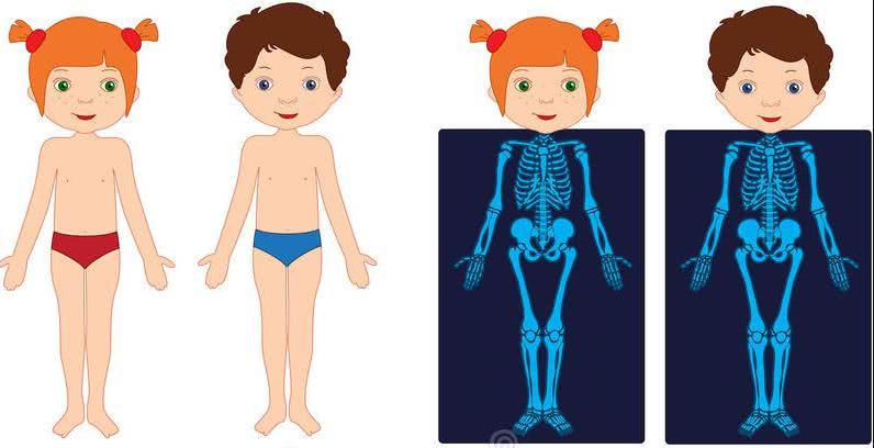 宝宝骨骼发育"黄金期",父母做好这4点,可助宝宝一臂之