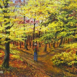 《未选择的路》,作者:罗伯特弗罗斯特,朗诵:梁媛媛