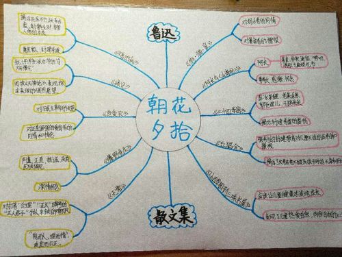 阅读书目思维导图展