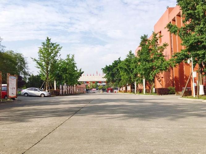 成都市新都香城中学2021年艺体特长生招生计划