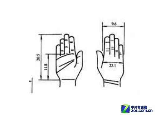 人体工学手掌尺寸