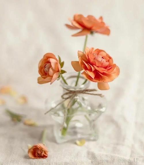 余生,请好好爱自己!