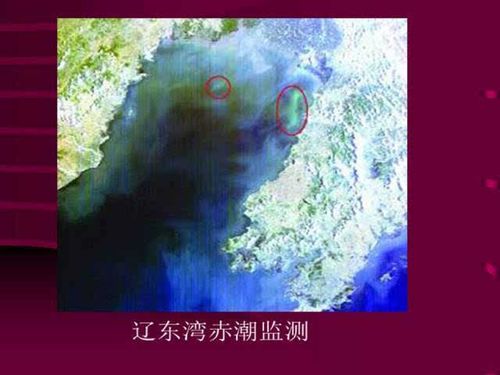 李纪人 | 水文水质的遥感监测