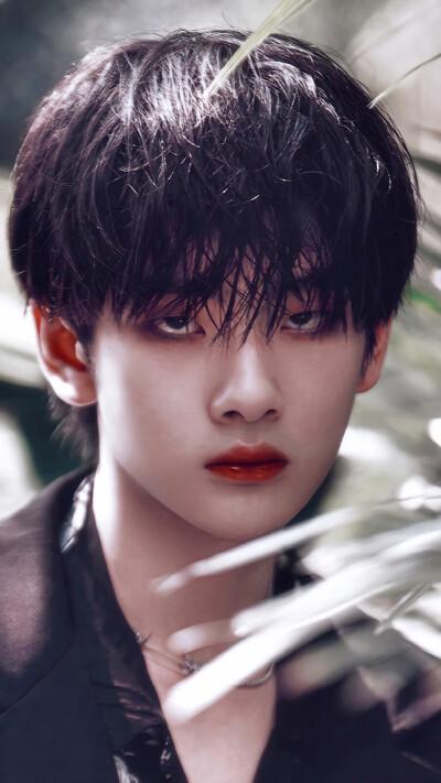 周震南溶素 自溶 禁一切 /桃井甜绘