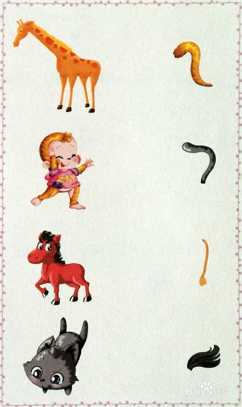 为什么动物会有尾巴读后手抄报 什么叫手抄报