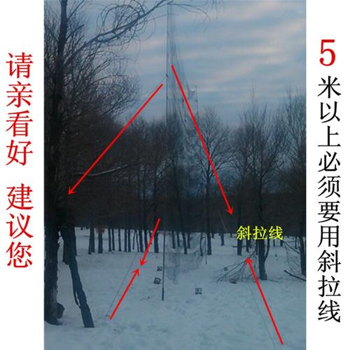 抄网杆捕埋杆新款不锈钢粘鸟杆捉鸟杆抄网鸟网杆鸟网撑杆抄网包邮