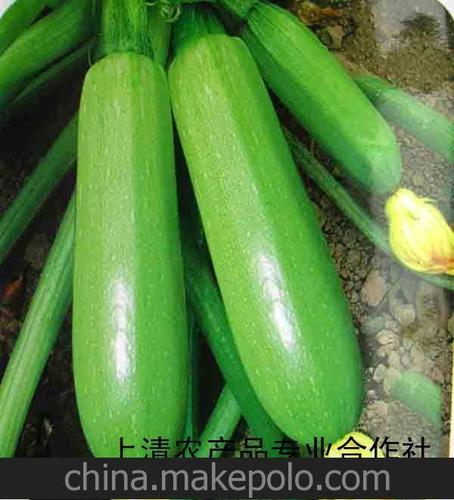 食品,饮料 新鲜蔬菜 瓜菜类 法拉利油葫芦