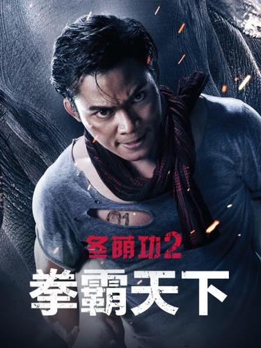 冬荫功2:拳霸天下