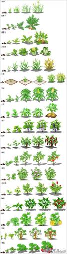 很全很漂亮qq农场作物成长过程全景图