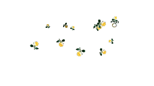 透明gif动画花草素材 【3】