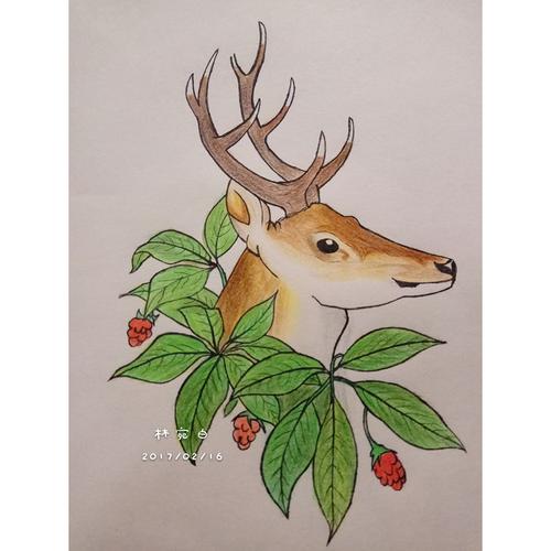 手绘第3天——临摹【白唇鹿】