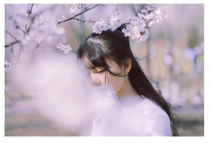 樱花.纪