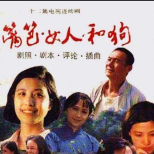 篱笆墙的影子