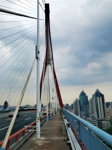 上海巧妙改造黄浦江大桥路灯杆都有5g