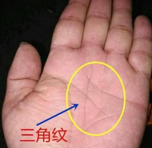 怎么从手相上看一生有几个孩子手相怎么看生几个孩子