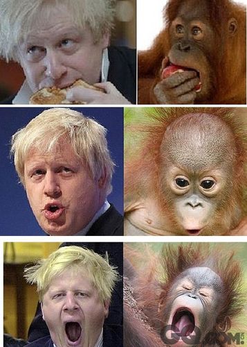 快看,"丢人现眼"市长又来了