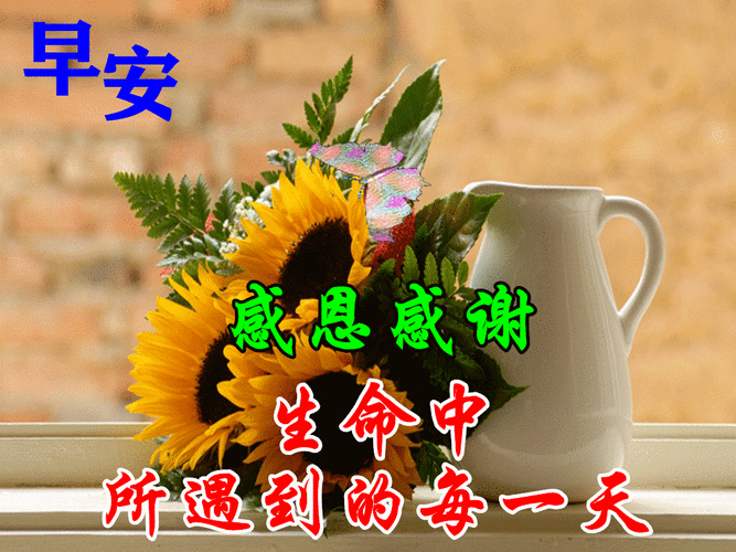 下午好动态表情图片大全问候语句子