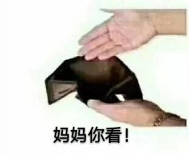 1 小时前   最佳答案 直接的表示,打开空钱包给妈妈看,意思没钱了