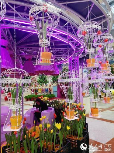 首届中国郁金香花博秀亮相广州百万葵园