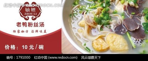老鸭粉丝汤广告设计模版
