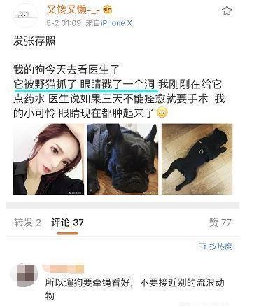 saya事件孕妇发声 网红saya打孕妇怎么回事?saya黑历史被扒出(2)